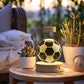 3D Dinosaur Night Light – Crystal Ball USB Lamp for Kids