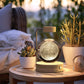 3D Dinosaur Night Light – Crystal Ball USB Lamp for Kids