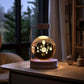 3D Dinosaur Night Light – Crystal Ball USB Lamp for Kids