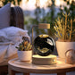 3D Dinosaur Night Light – Crystal Ball USB Lamp for Kids